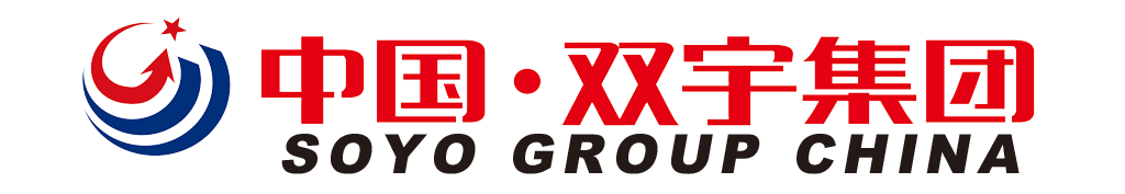 QDJ2451 | SOYO GROUP CHINA